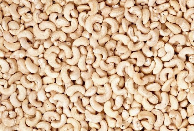 قاچاقچی بادام هندی در عجبشیر ۱.۲ میلیارد ریال جریمه شد – خط و نقد | اخبار ایران و جهان