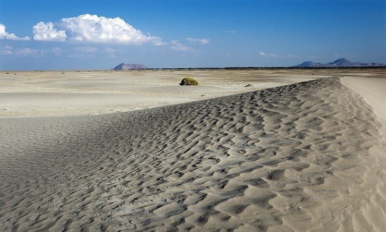 فقدان یک برنامه جامع در حوزه مدیریت پایدار و تشدید