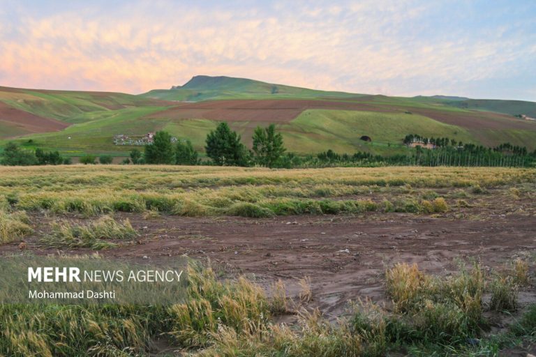 خرید توافقی و تضمینی بیش از ۴ میلیون تن محصولات کشاورزی –