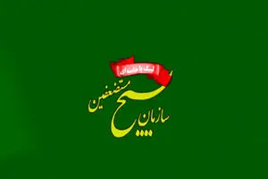 بسیج ایران در کدام کشورها فعالیت دارد؟